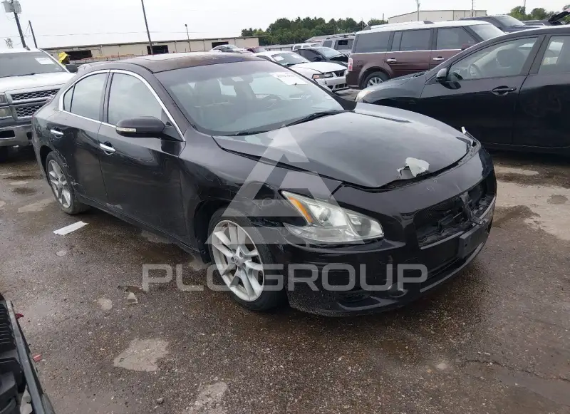 2010 Nissan MAXIMA фото