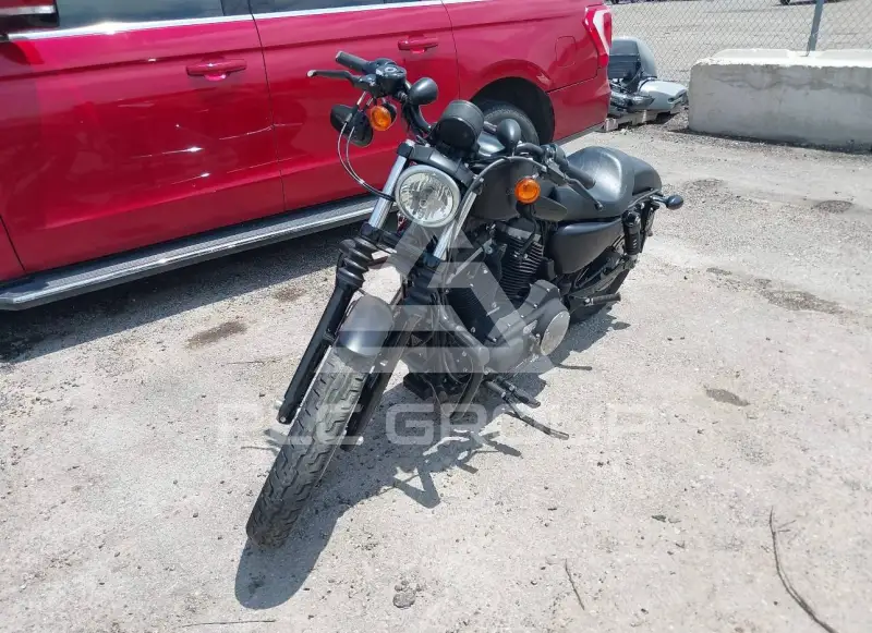 2010 Harley-Davidson XL883 фото