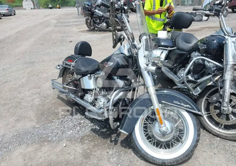 2010 Harley-Davidson FLSTN photo