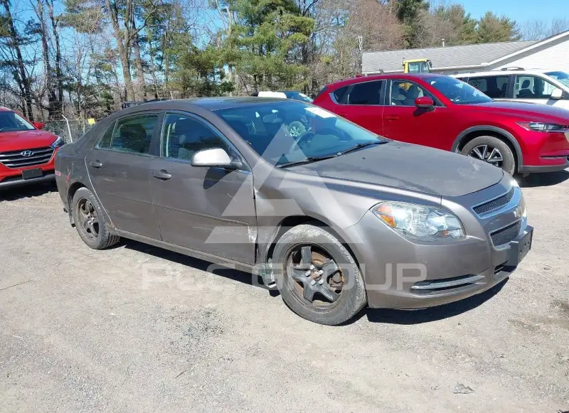 2010 Chevrolet Malibu фото
