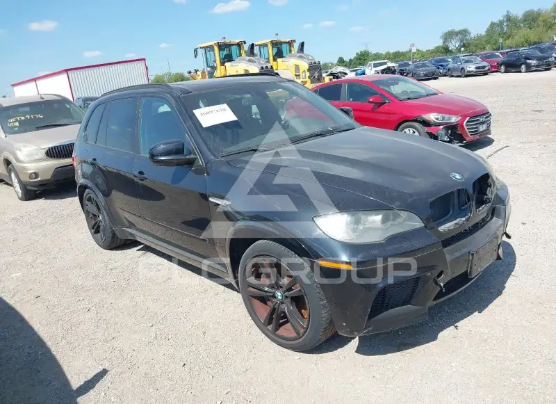 2010 BMW X5 photo