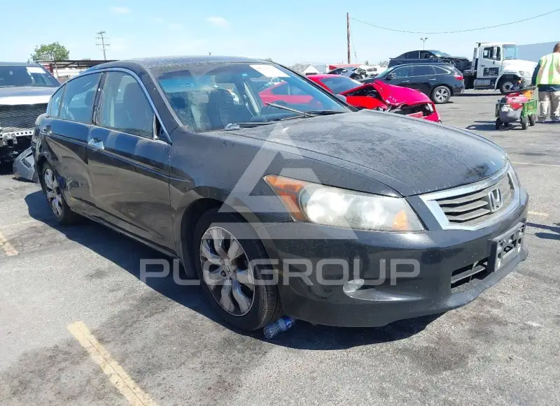 2010 Honda Accord фото