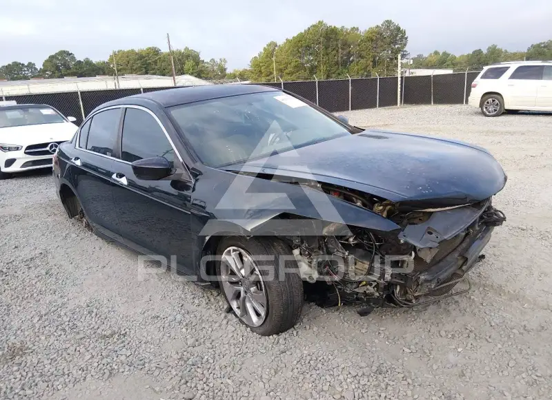 2010 Honda Accord фото