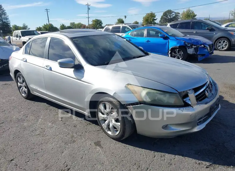 2010 Honda Accord photo