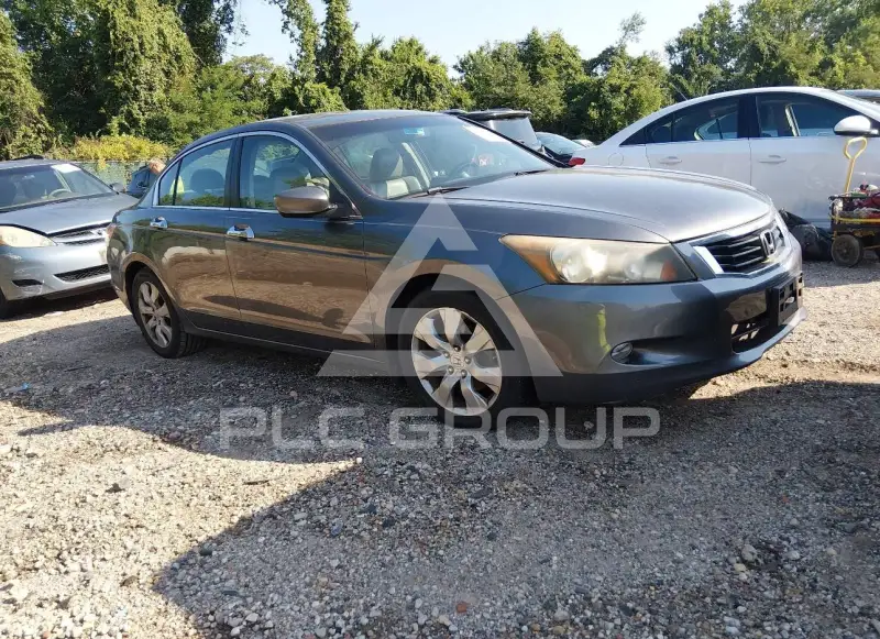2010 Honda Accord фото