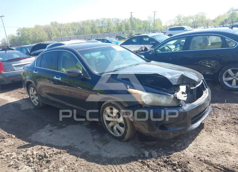 2010 Honda Accord photo