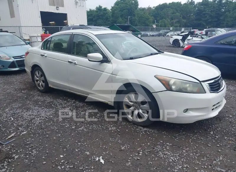2010 Honda Accord фото