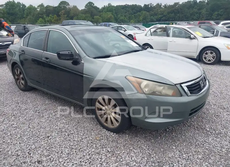 2010 Honda Accord фото