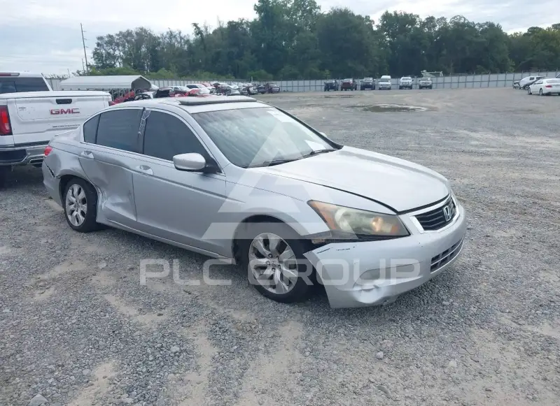 2010 Honda Accord фото