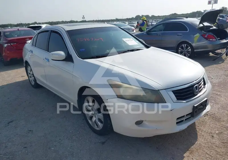 2010 Honda Accord photo
