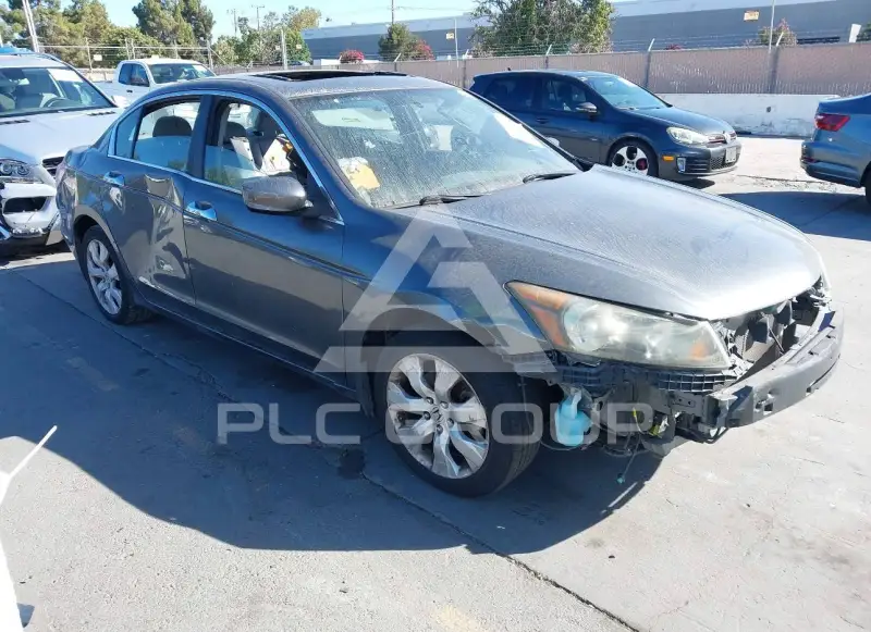 2010 Honda Accord фото