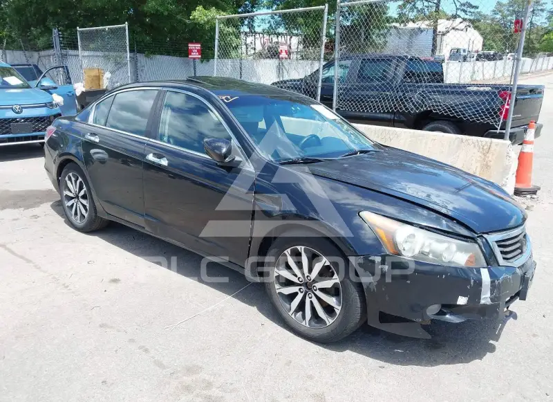 2010 Honda Accord фото
