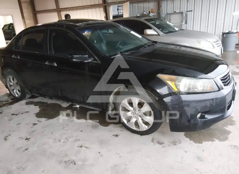 2010 Honda Accord photo