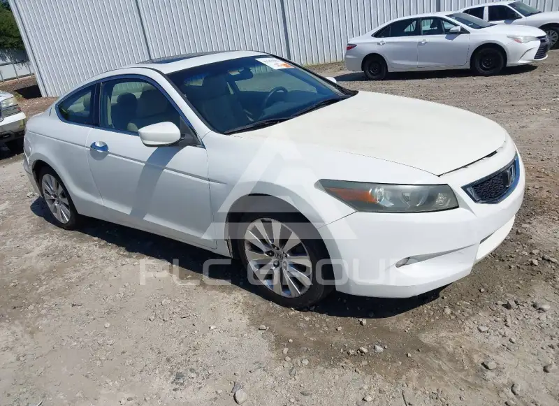 2010 Honda Accord фото