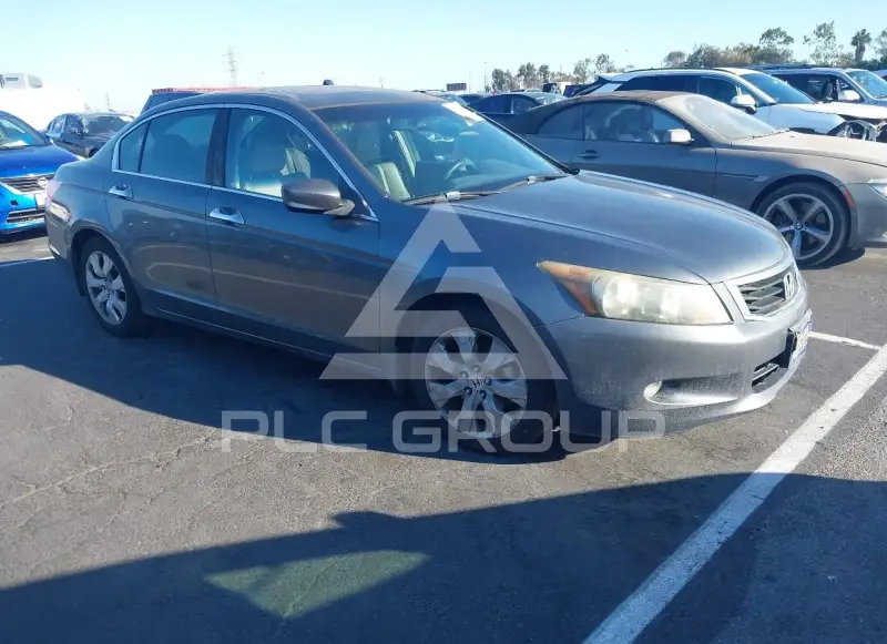 2010 Honda Accord photo