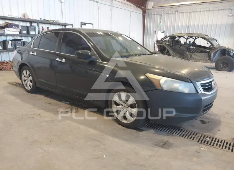 2010 Honda Accord фото