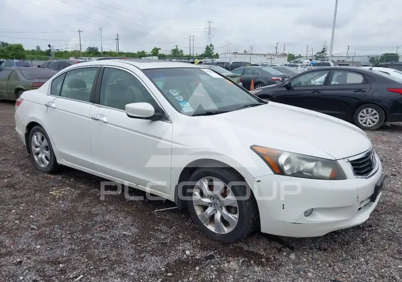 2010 Honda Accord photo