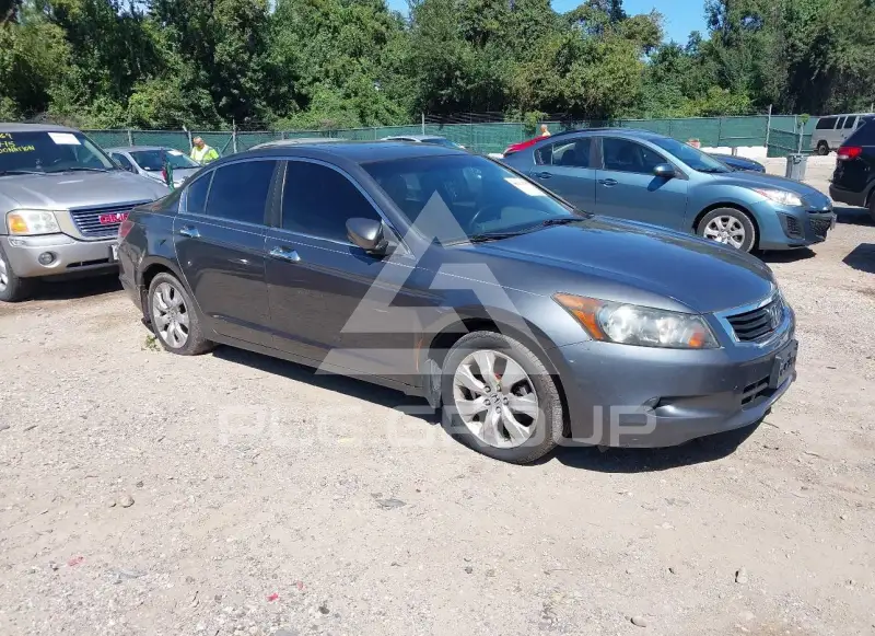 2010 Honda Accord фото