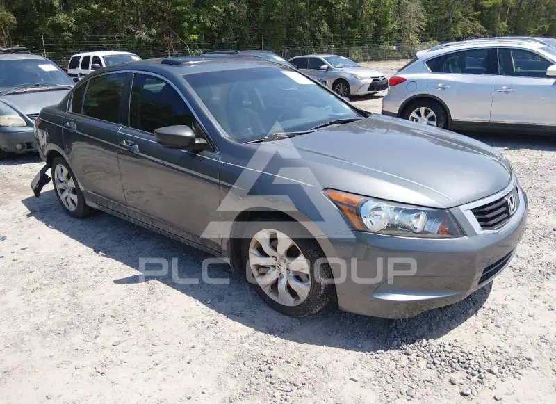 2010 Honda Accord фото