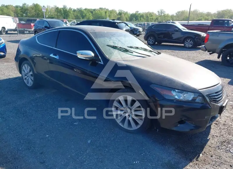 2010 Honda Accord photo