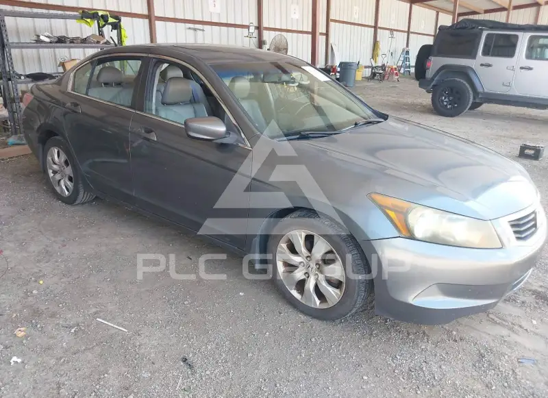 2010 Honda Accord photo