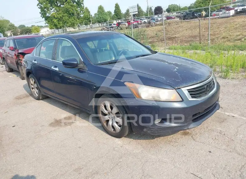 2010 Honda Accord фото