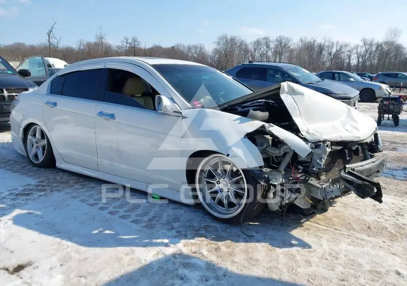 2010 Honda Accord photo