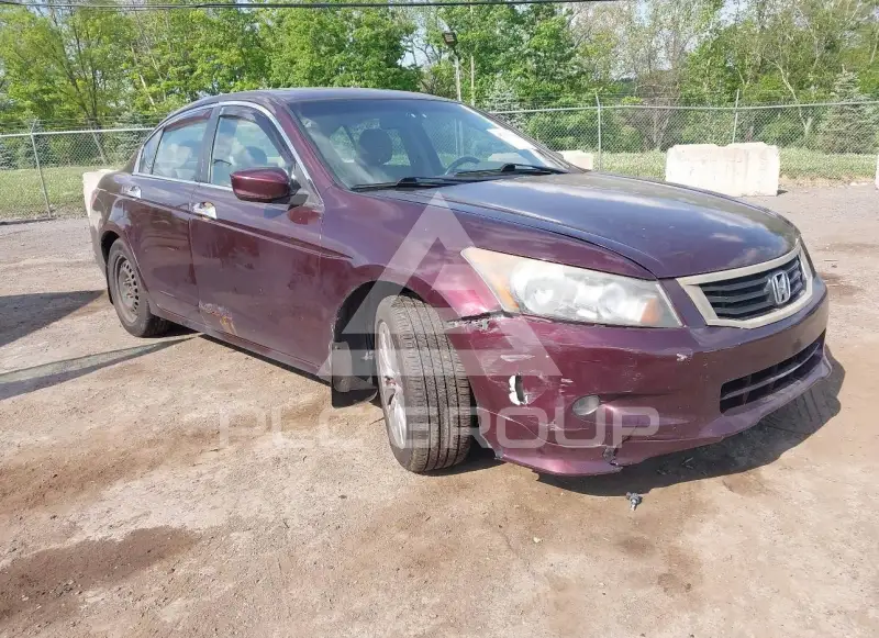 2010 Honda Accord фото