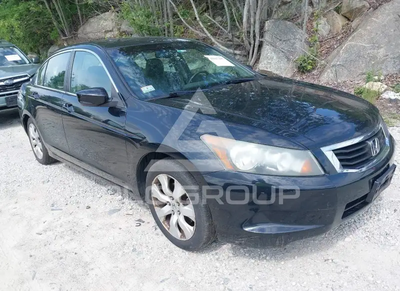 2010 Honda Accord photo