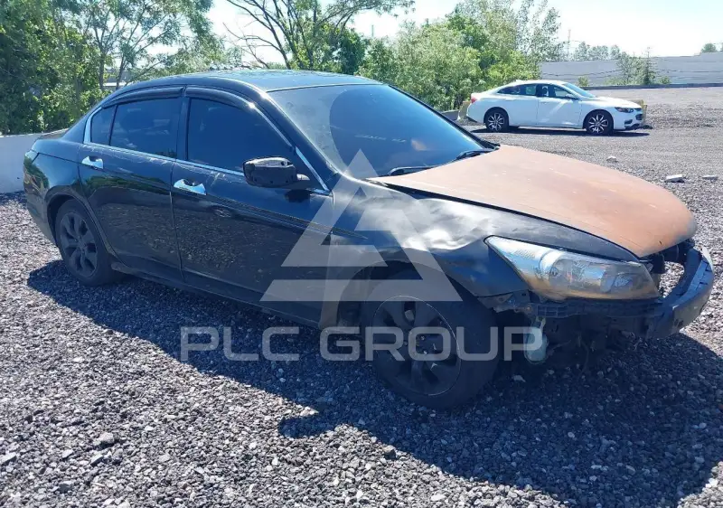 2010 Honda Accord фото
