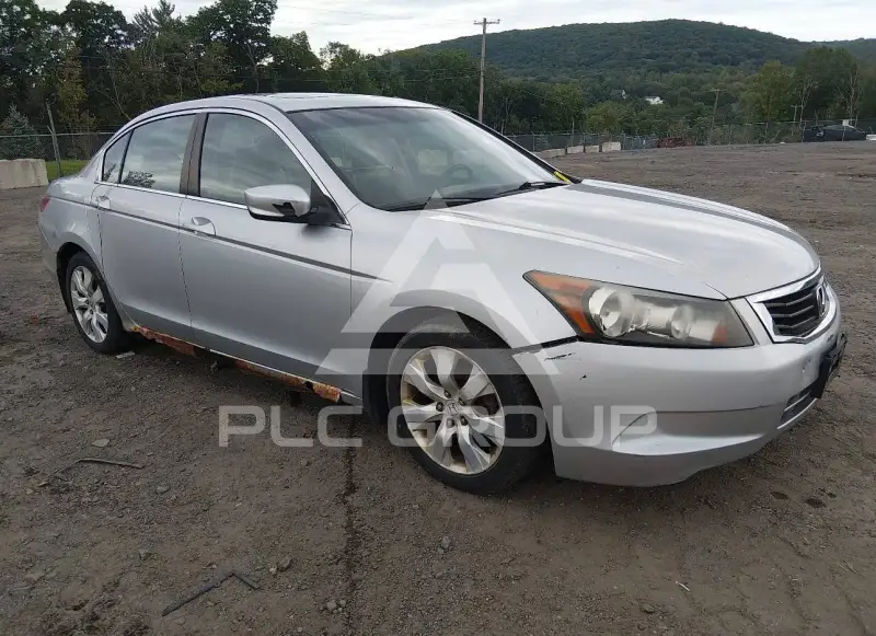 2010 Honda Accord фото