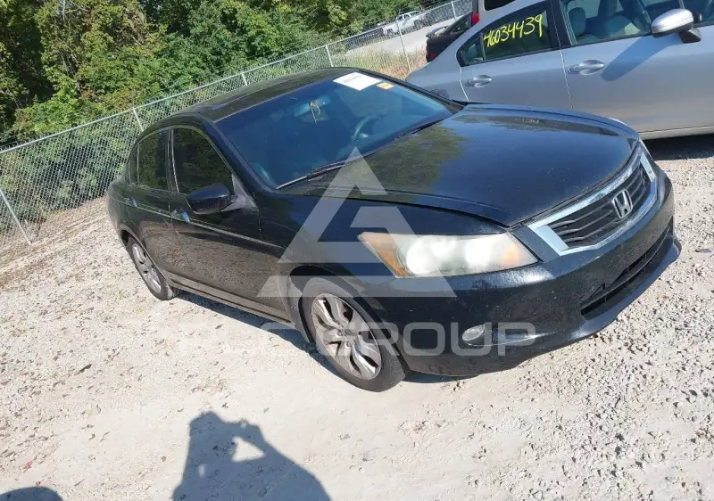 2010 Honda Accord фото