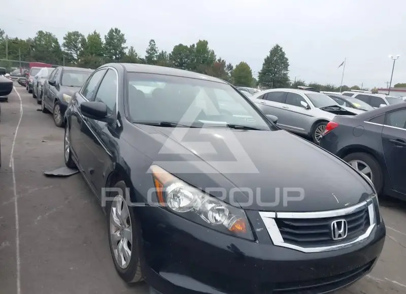2010 Honda Accord photo