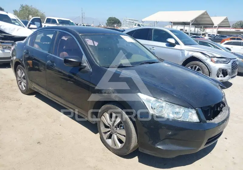 2010 Honda Accord фото