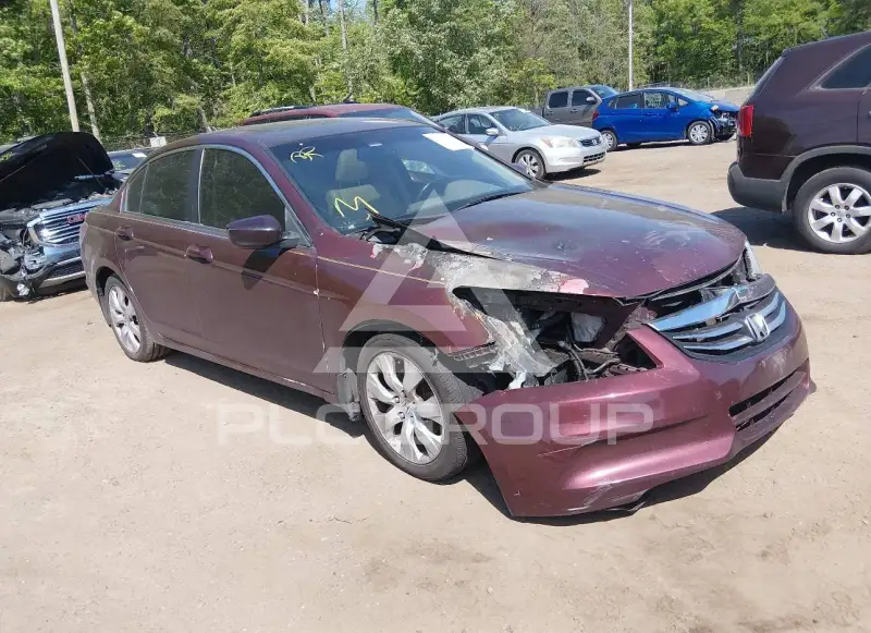 2010 Honda Accord photo