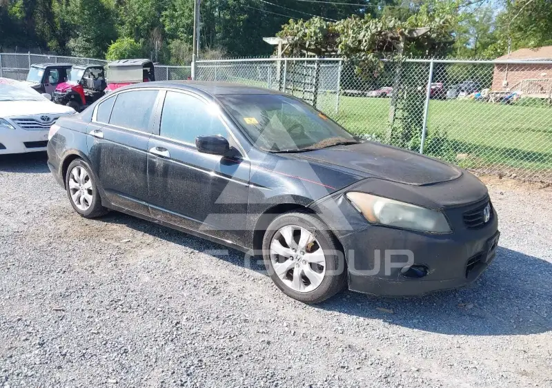 2010 Honda Accord фото
