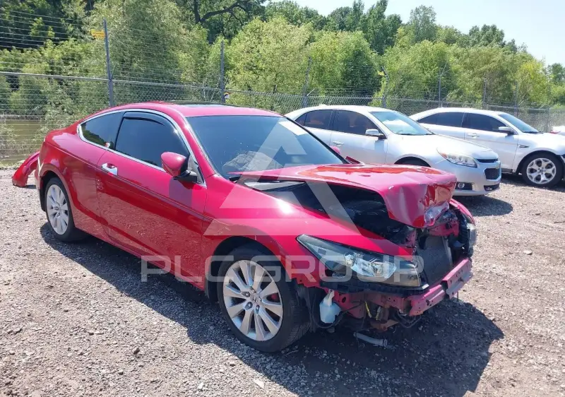 2010 Honda Accord фото