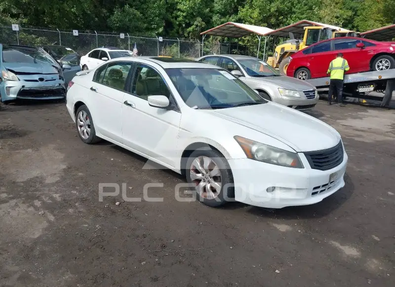 2010 Honda Accord photo