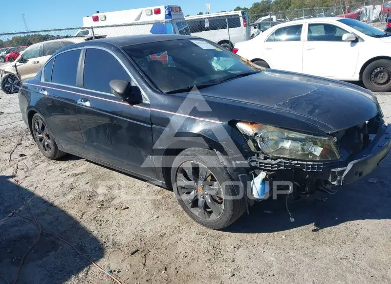 2010 Honda Accord фото