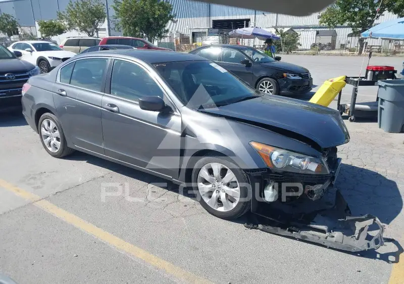2010 Honda Accord photo