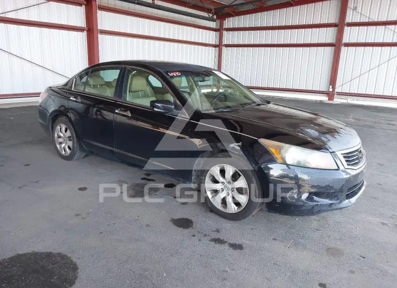2010 Honda Accord фото