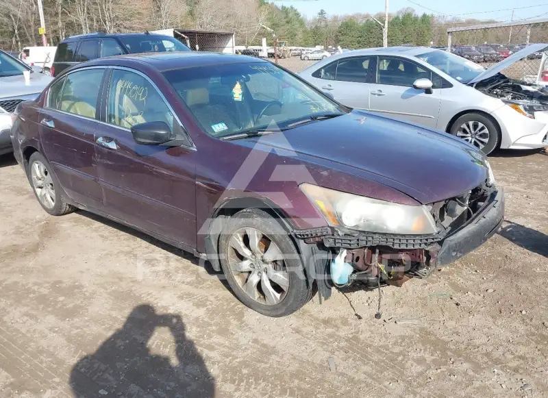 2010 Honda Accord photo
