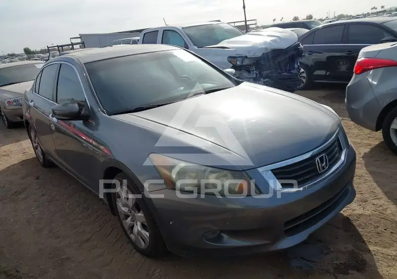 2010 Honda Accord фото