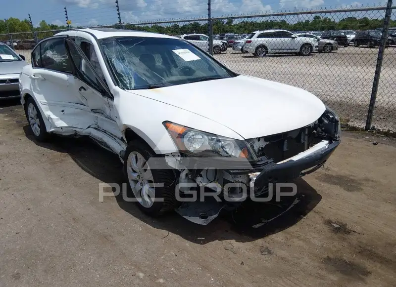 2010 Honda Accord photo