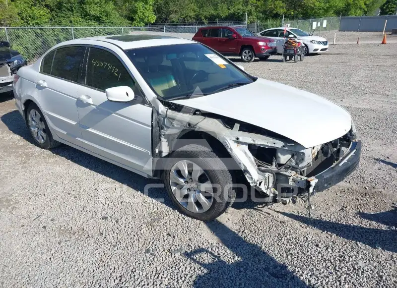 2010 Honda Accord photo