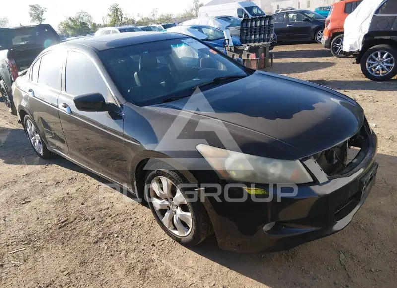 2010 Honda Accord photo