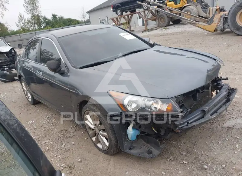 2010 Honda Accord фото