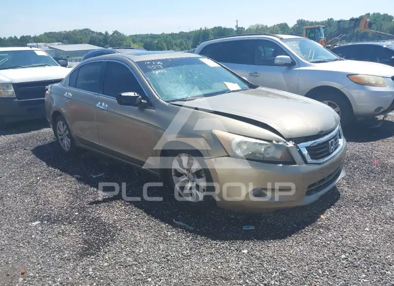 2010 Honda Accord photo