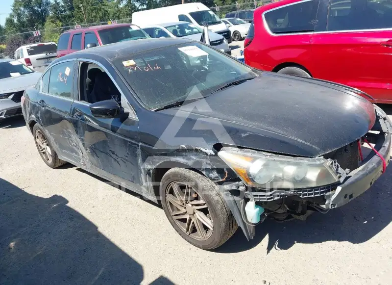 2010 Honda Accord photo