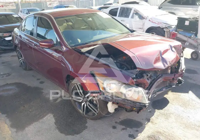 2010 Honda Accord фото